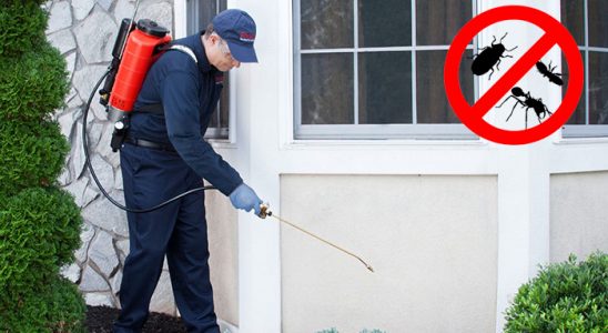 Foça Böcek ve Haşere İlaçlama böcek ilaçlama ve haşere kontrolü — ilaclama-tr.com